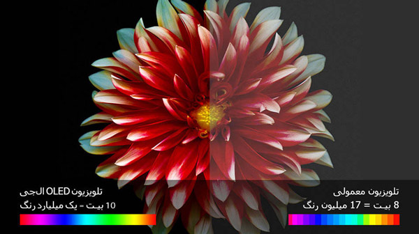 تلویزیون الجی مدل oledb7v