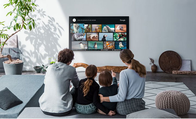تلویزیون 49 اینچ سونی 4k جدید 2019 مدل x8000g