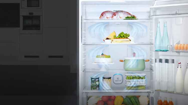 یخچال بالا پایین الجی 26 فوت آبریز دار بدون برفک استیل مدل gl-f652hlhu