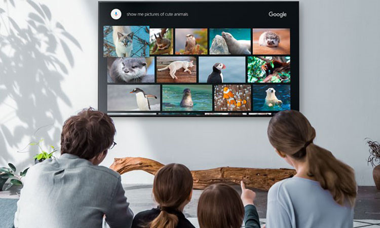 تلویزیون 43 اینچ سونی 4k مدل x7500f