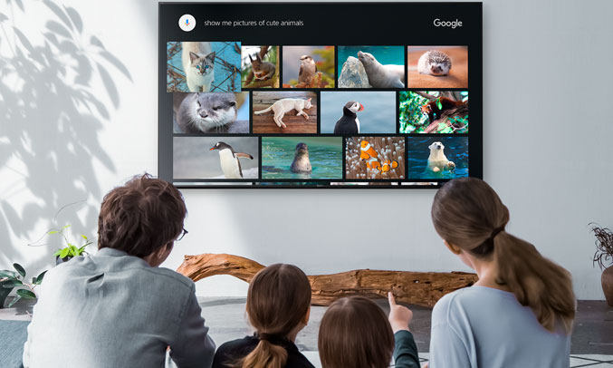 تلویزیون 43 اینچ سونی 4K مدل X8500F