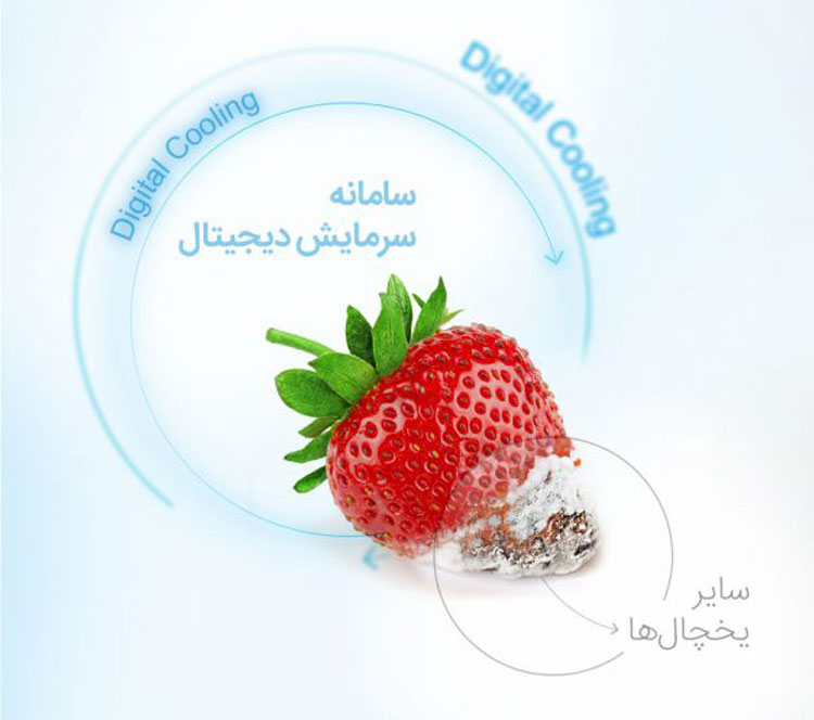 یخچال ساید بای ساید دوو بدون برفک مدل frs-2411eal