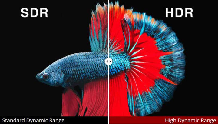تفاوت های تکنولوژی تصویری hdr با sdr
