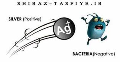 تکنولوژی نانو سیلور